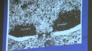 Dr Jihan Datashow Revision cytology &epithelium) 7-5