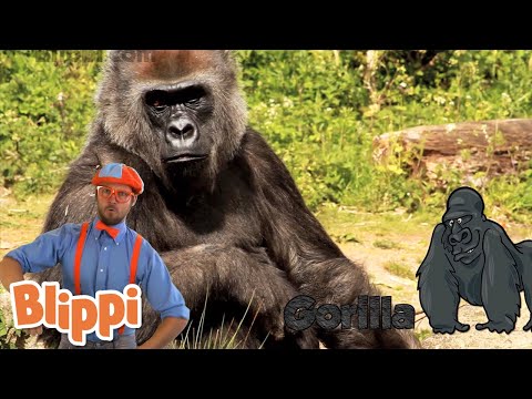 Zoo Animals | Blippi | Kids Learning Videos | Nursery Rhymes | ABCs And 123s