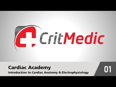 CritMedic Live #24 - Cardiac Academy 01 - Introduction to Cardiac Anatomy & Electrophysiology