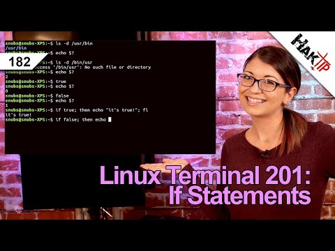 If Statements in Shell Scripts | Linux Terminal 201 - HakTip 182