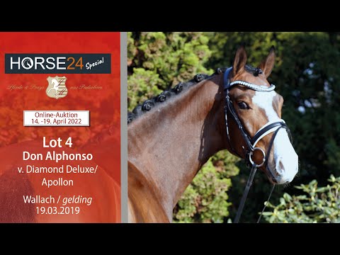 Horse24 Special Auktion Mielesko-Vekens Lot 4 Don Alphonso v. Diamond Deluxe - Apollon