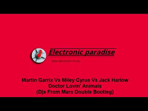 Martin Garrix Vs Miley Cyrus Vs Jack Harlow - Doctor Lovin' Animals (Djs From Mars Double Bootleg)