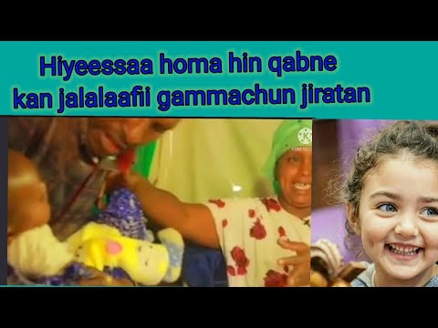 🔴#Hiyyeessaa homan hin qabnee kan jalalaan jiratuu