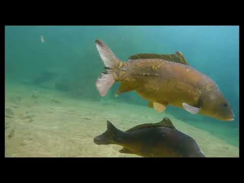 30 Avr 22   Rochefontaine