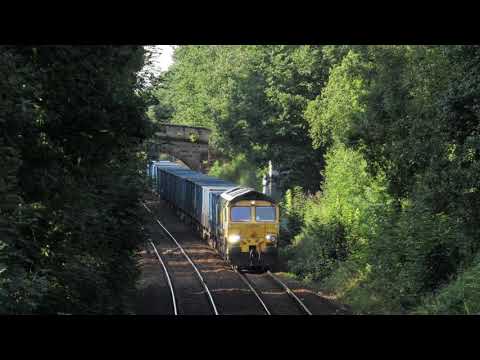 Freightliner 66560 Bredbury R.T.S - Runcorn Folly Lane @ Apethorn Lane 20/8/21