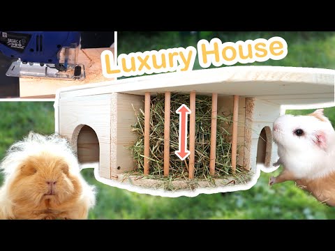 DIY: Perfect Guinea Pig House + Hay Rack | DIY Toys...