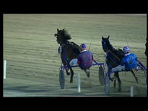 Napoli Trotto 19/06/2021 - 5ª corsa