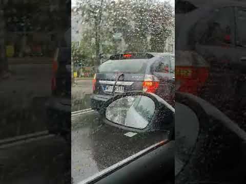 ROGAL DDL X KACZOR BRS