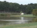 DGTV Video USDGC 2006