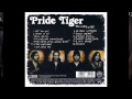 Pride Tiger - What It Is
