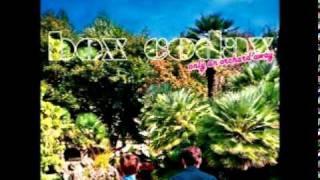 Box Codax - Do It With Charm