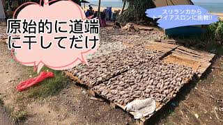 スリランカからトライアスロンに挑戦!! コロンボ⇔ベールワラ RIDE