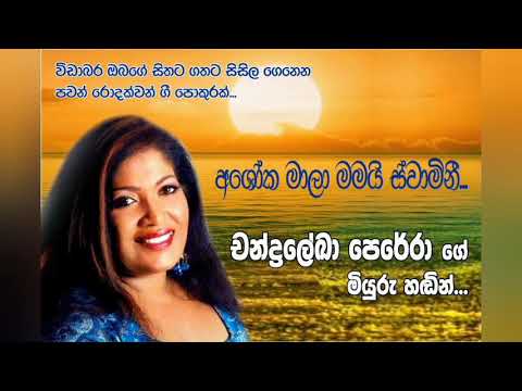 Ashokamala mamayi swamini... අශෝකමාලා මමයි ස්වාමිනී... චන්ද්‍රලේඛා පෙරේරා. (Chandralekha perera .)