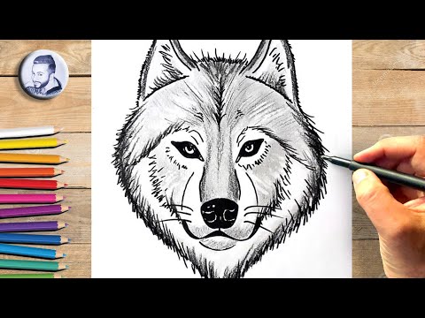 comment dessiner une tete de loup facilement