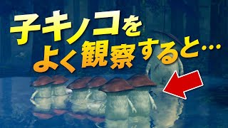 ダークソウルの小ネタ集 #1