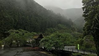 𝓢cience genius ⸝⸝ 100% in science 🧪₊˚