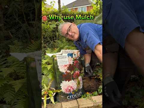 Why Use Mulch #gardening #mulch #mulching #gardenhacks #garden Crocus frasstastic bio-mulch