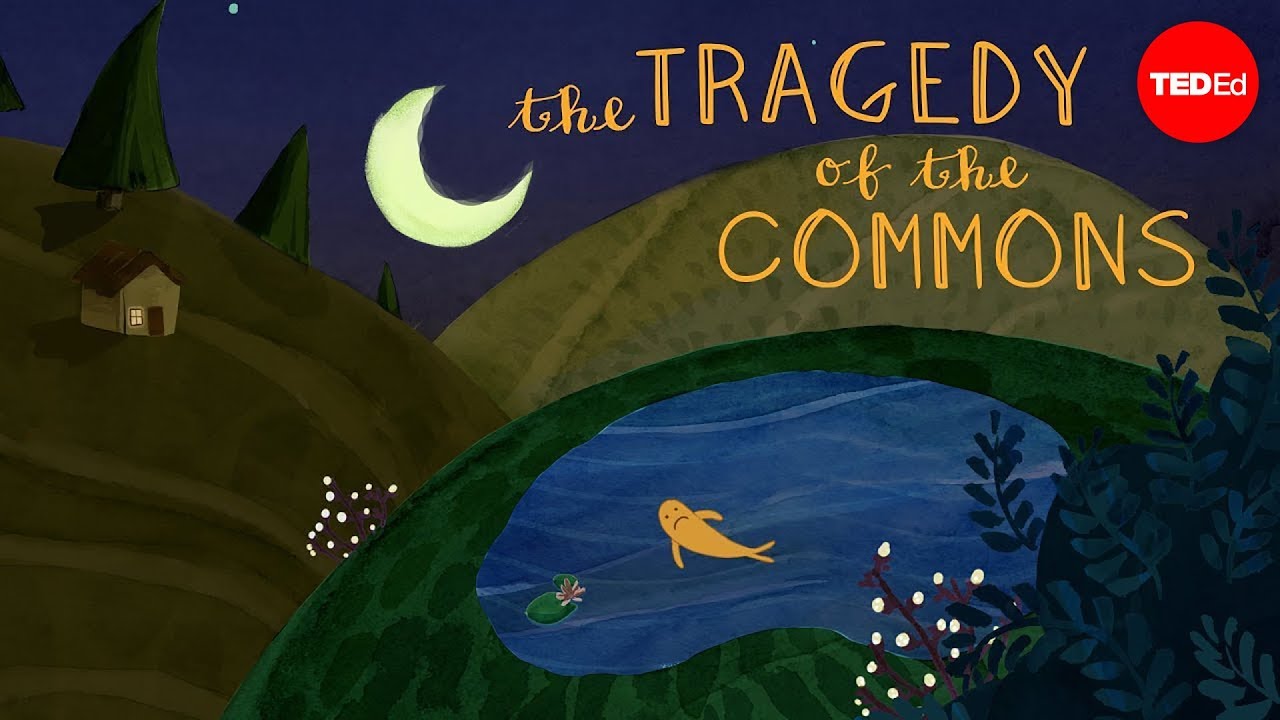 What are some examples of the tragedy of the commons?