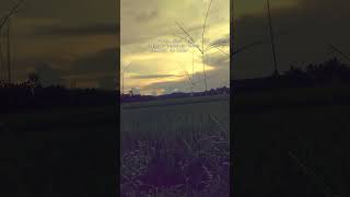 Download lagu Story wa kata sad Luka Disini - Unggu #storywa mp3 Download lagu Story wa kata sad Luka Disini - Unggu #storywa mp3