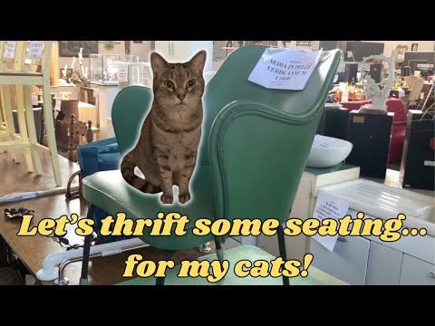 A Huge VINTAGE Warehouse in Vercelli 🇮🇹 + a COZY Night by the Fire