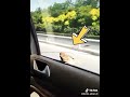 Islamic Whatsapp Status Video Short Clip ️