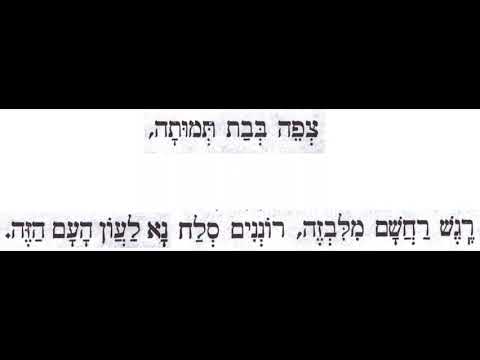 Yom Kippur Musaf 11 - Tzfe Bevat