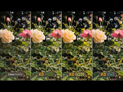 Kodak Film Simulation Picture Styles for Canon cameras