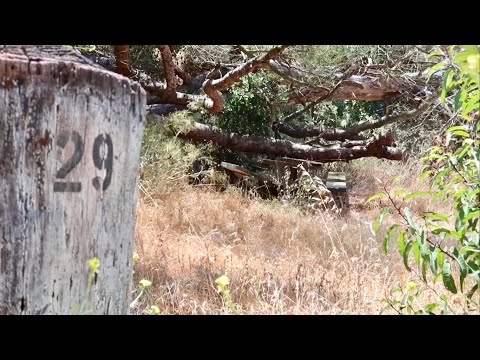 TDW 1826 - Mysterious Remains Of Haunted Table 29
