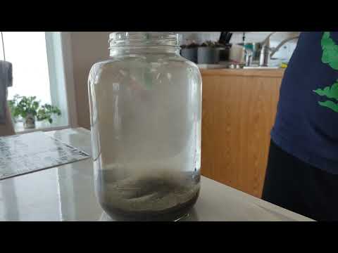 Landspout Tornado in a jar ( or dust devil or gustnado)