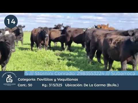 Lote NLL Y VQ - De la Garma Bs As