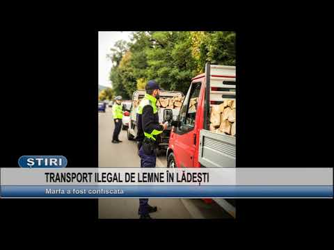 TRANSPORT ILEGAL DE LEMNE IN LADESTI
