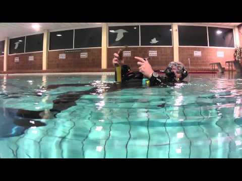 PADI Divemaster IDC Skill 20: Gewichtssystem an der Oberfläche ab- und wieder anlegen