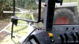 Maize 2010 (Dunphy's of Ahenny)