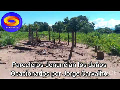 En el municipio Pedraza de Barinas se muestra la realidad que viven los parceleros de Fundacea.