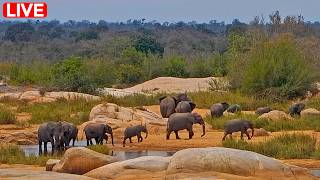 Kruger Gate Hotel - Webcam