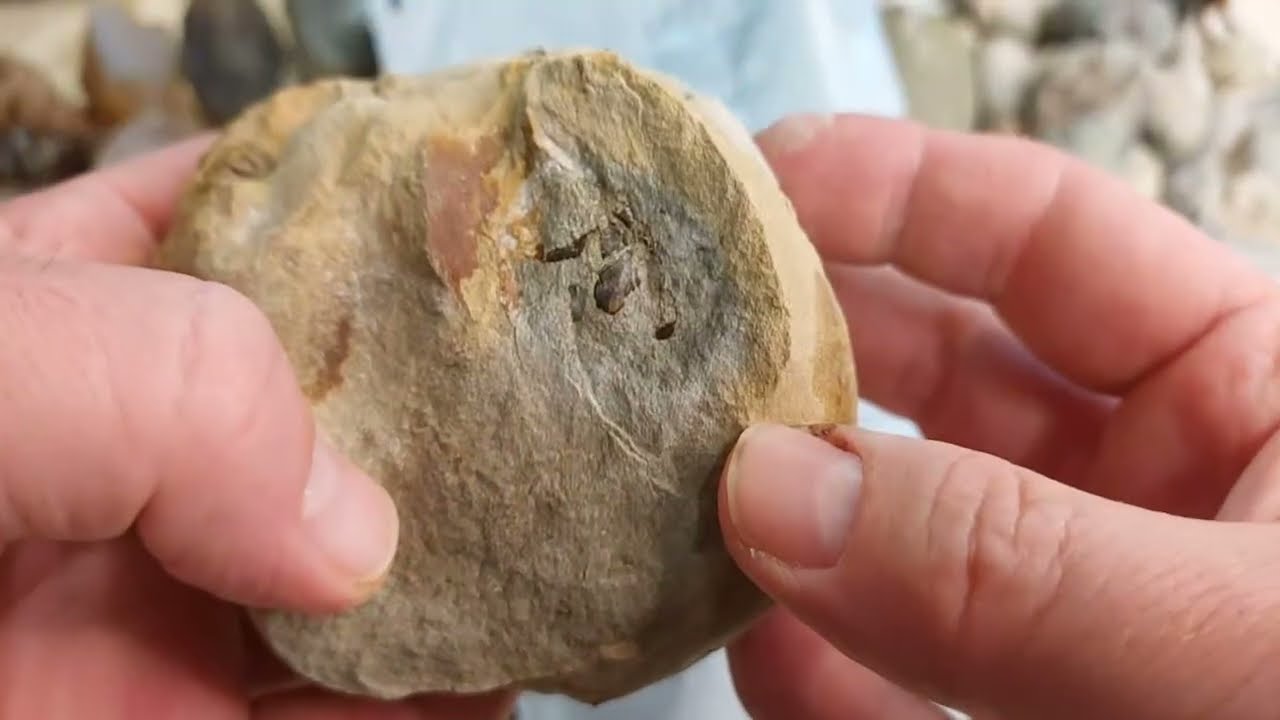 Sending out some more fossil bags [21 sent in this video]