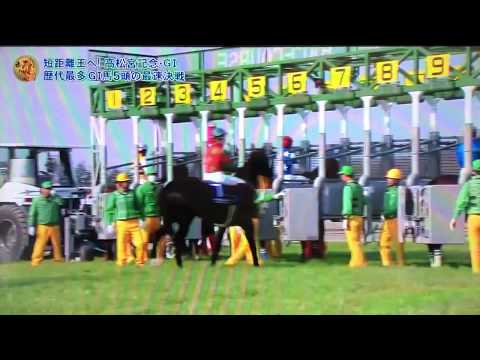 【実践動画】高松宮記念　2018/ 3/ 25  ファインニードル
