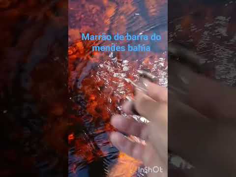 marrão de barra do mendes bahia, detectorismo no marrão de barra do mendes bahia