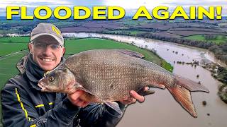 Feeder Fishing For Bream (On a RISING River!)