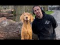 Watch me CHAINSAW CARVING a Hungarian Vizsla Dog!