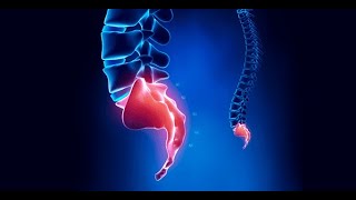 Douleurs au coccyx, que faire exercices pour vous soulager ici.