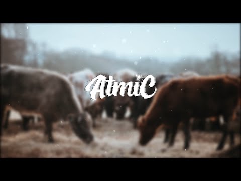 Miguelito Diaz - Recoleando un Nuevo Amor 🎧🎧