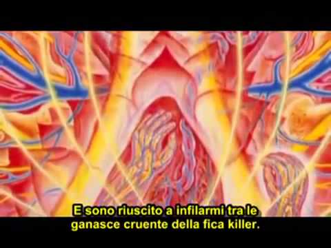 WORLDSPIRIT   by ALEX GREY sub ita