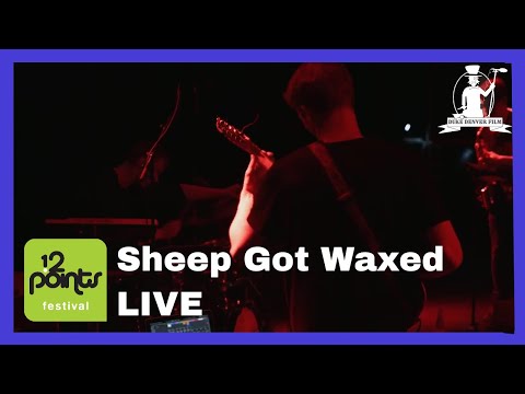 Sheep Got Waxed LIVE at 12 Points festival 2017 Aarhus