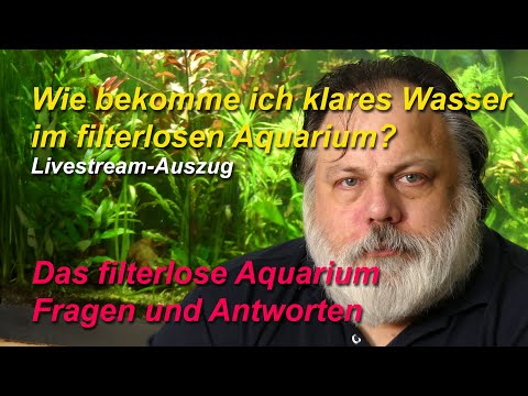 Ich möchte kristallklares Wasser haben. Kann ich im filterlosen Aquarium auch mechanisch filtern?