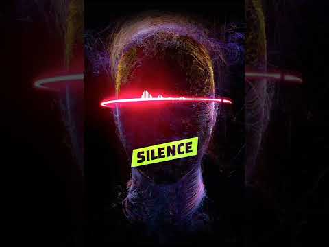 LVBEL C5 X ASHAFAR BASS