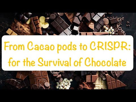 From Cacao pods to CRISPR: For the Survival of Chocolate