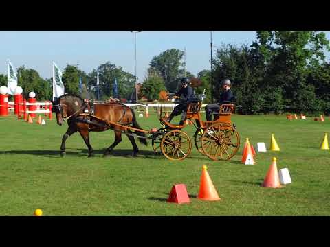 Fahrturnier Ostenfelde 14.8.2021