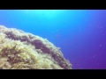 AquaVenture Malta Diving Blue Grotto May 2015