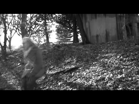 Alyosha Het - Things Are Not The Same